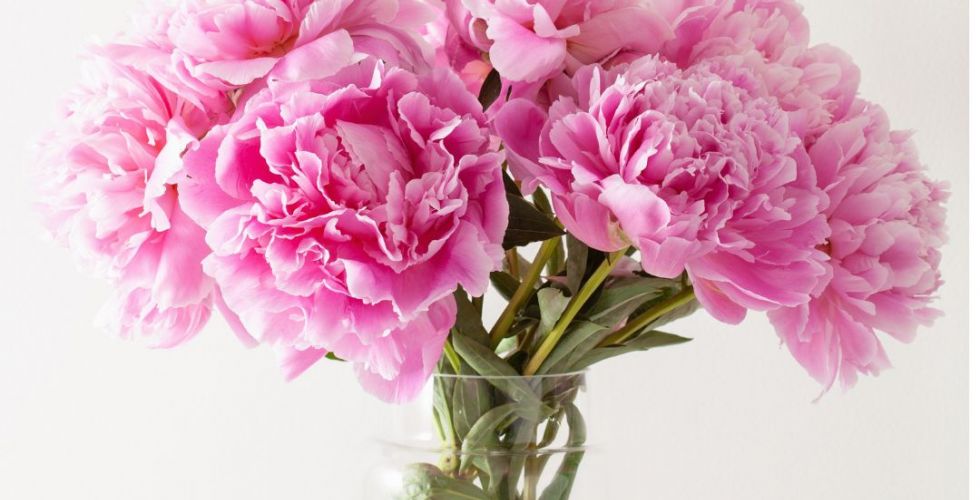 Międzynarodowy Dzień Pielęgniarek i Położnych